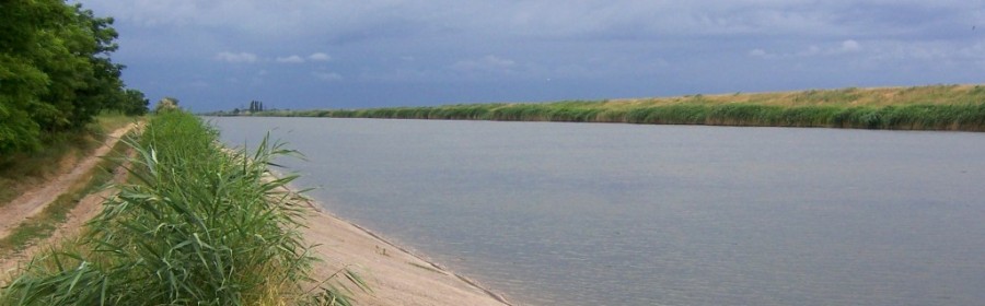 На Херсонщине найден труп безымянного мужчины. Полиция просит помощи На Херсонщине найден труп безымянного мужчины. Полиция просит помощи
