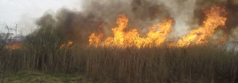 Пять пожаров в экосистемах за одни сутки насчитала Херсонская линия 101.