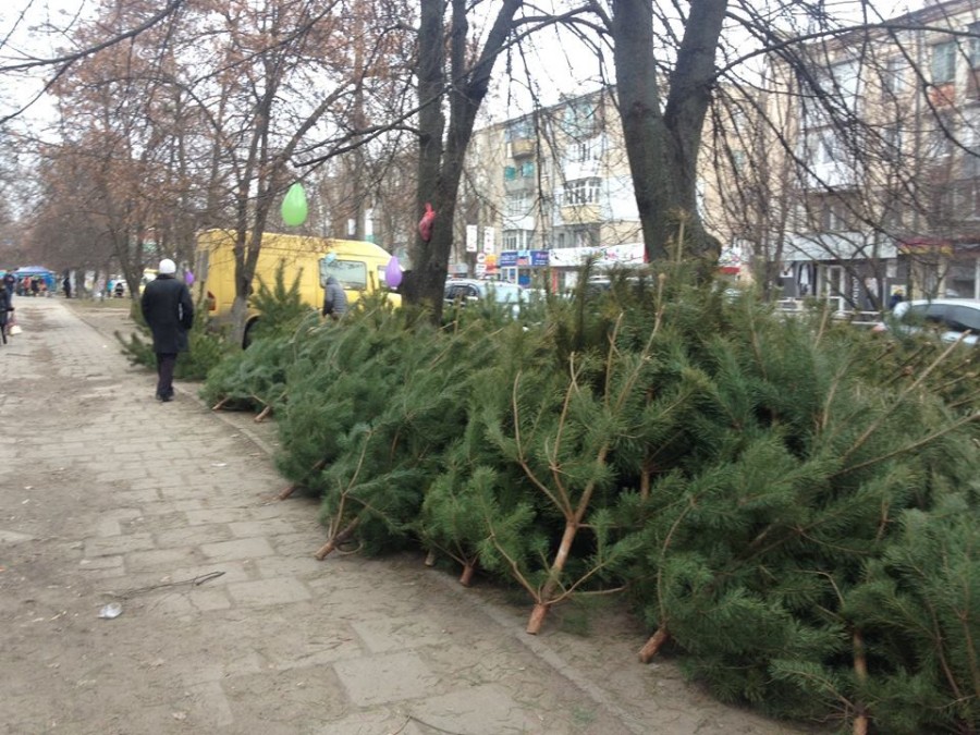 Інспекція з благоустрою Херсона пішла у рейди ялинковими базарами