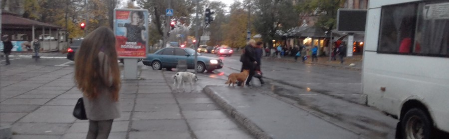 Херсонцы пытаются уехать домой пораньше - погода шепчет