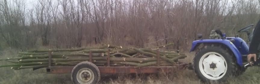 Мешканець Херсонщини, готуючись до зими, став об'єктом спільної операції силовиків