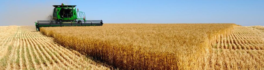 Проблемы в сельском хозяйстве привлекли внимание