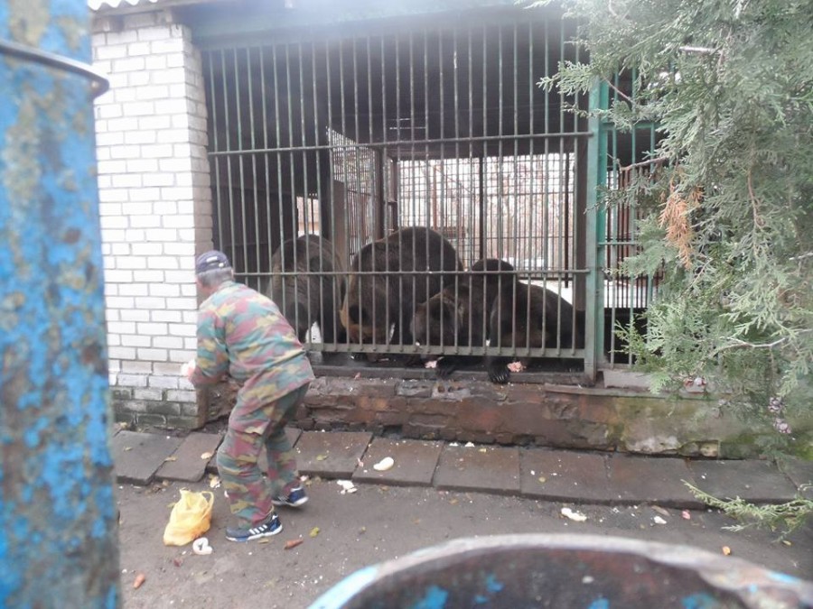 Херсонцы выбирают, нужен ли им зоопарк в Гидропарке (опрос)