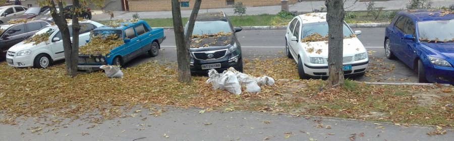 Все что вы хотели знать об уборке листьев по-херсонски, но стеснялись спросить (фоторепортаж)