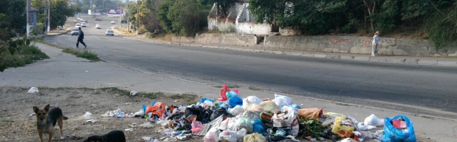 В Херсоне мусор с дорог будут не убирать, а объезжать?