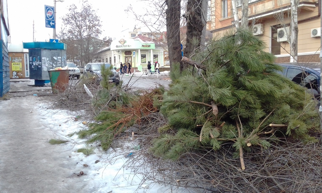 В Херсоне выброшенные елки до сих пор украшают старый центр (фотофакт)