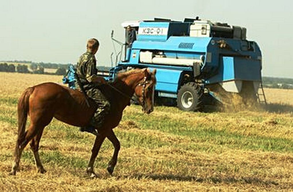 Прокуратура Херсонщини про зникнення врожаю не забула - слідство на контролі