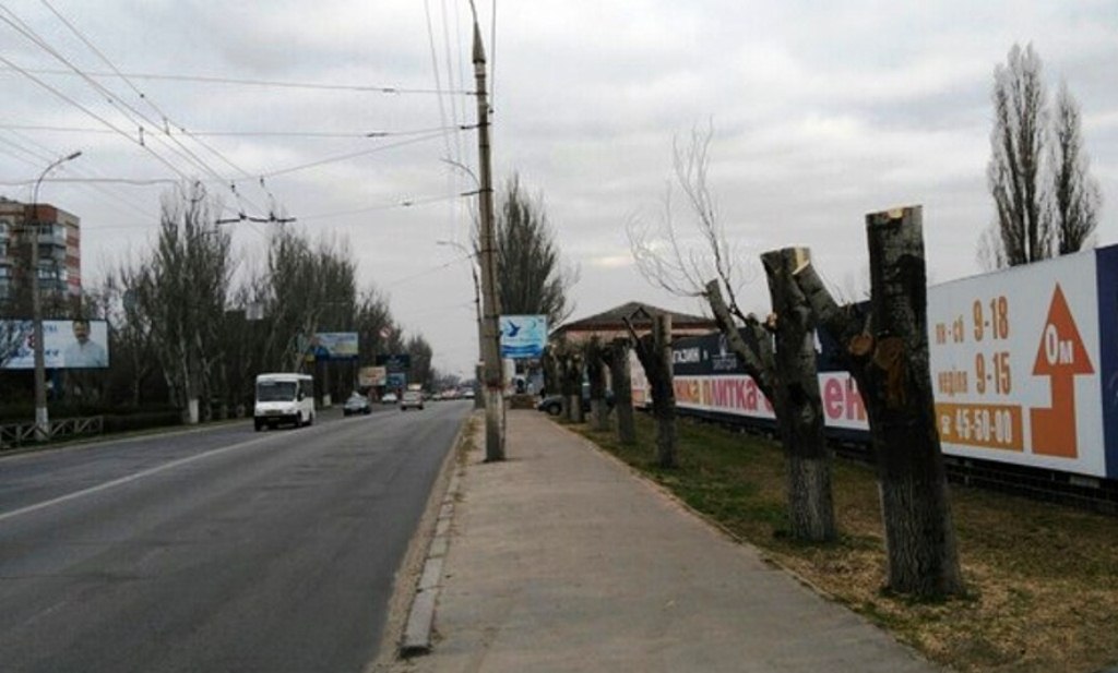 Глубокое омоложение деревьев с обрезкой 