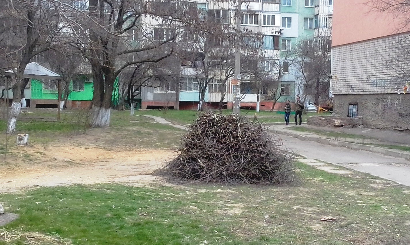 Херсонская весна заготовки дров не отменяет (фотофакт)