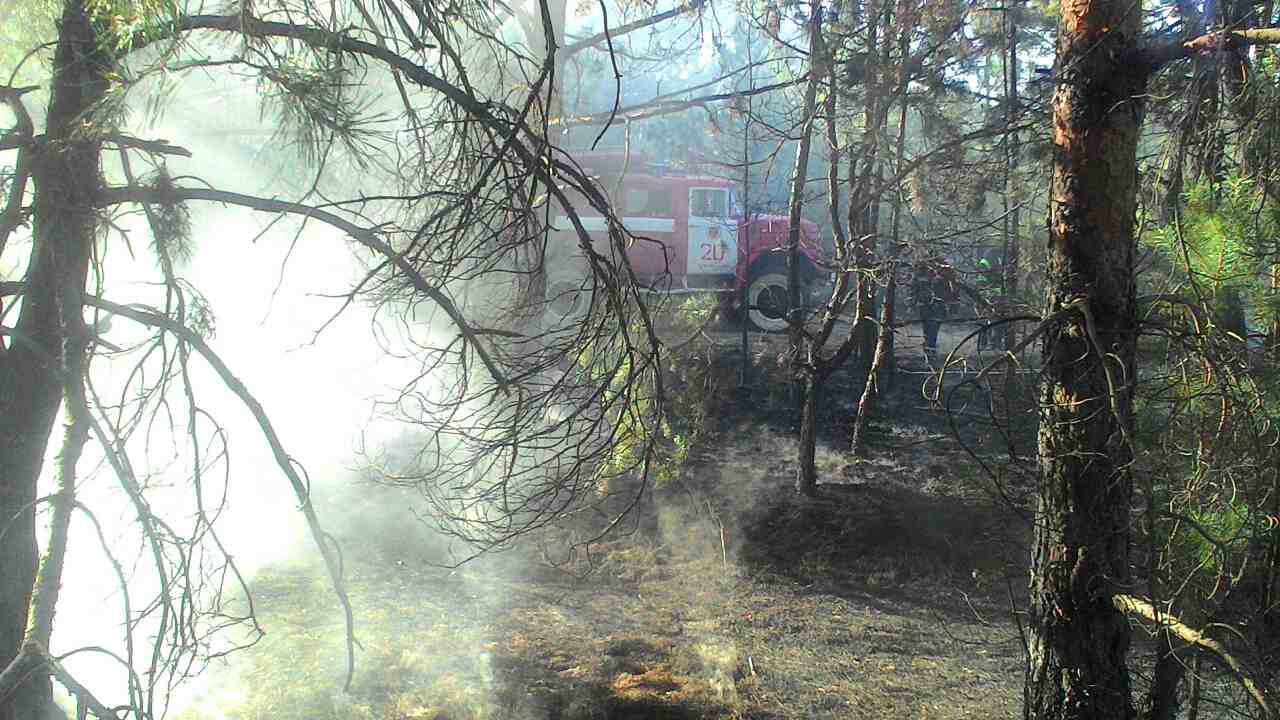 Губернаторські гасіння стають традиційними на Херсонщині. Цього разу без кавунів.