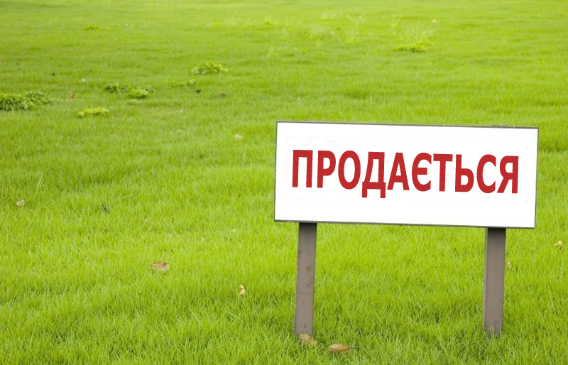 На земельних торгах Херсонщини продали 10 лотів