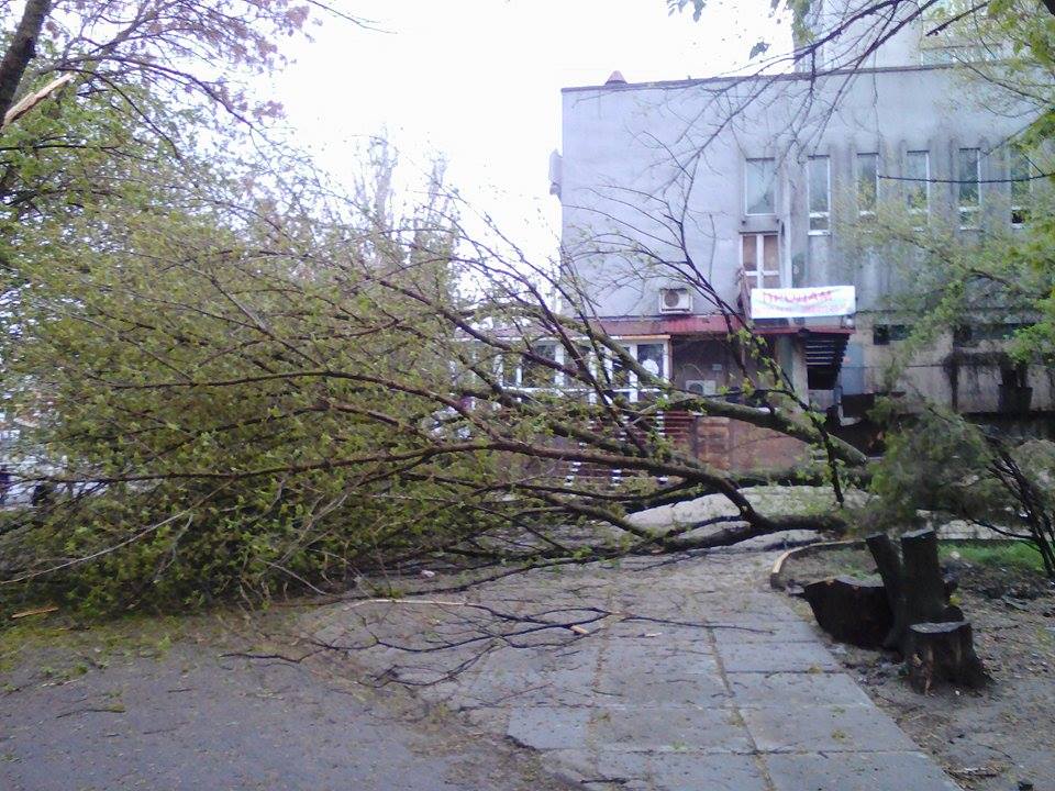 В Херсоне этой ночью падали деревья и отключался свет