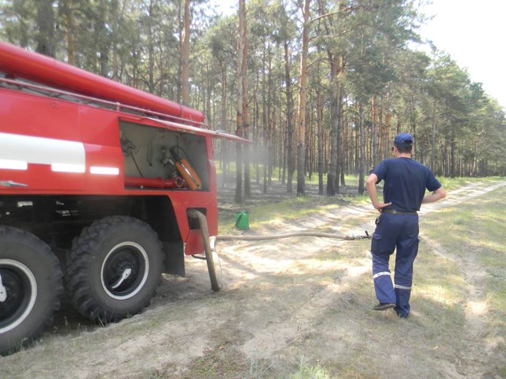 Шашлик-стоп! У херсонських лісах пожежонебезпечно