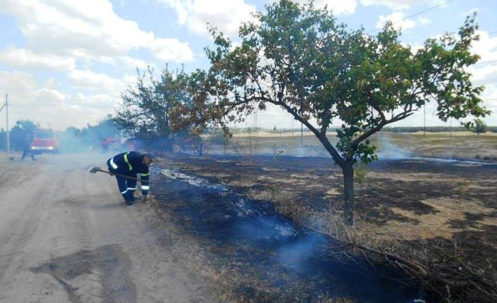 Дачники на Херсонщині ледь не постраждали від пожежі