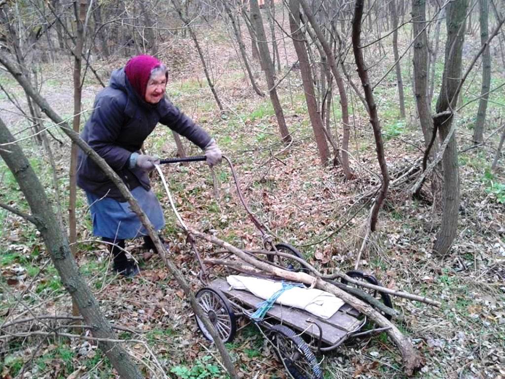 Дров'яна криза на Херсонщині