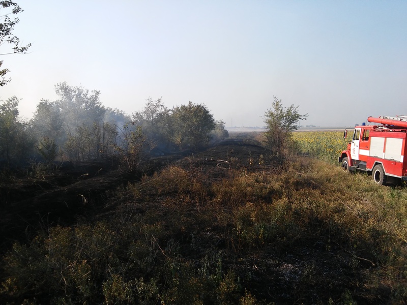 На Херсонщині оголосили високий рівень пожежної небезпеки