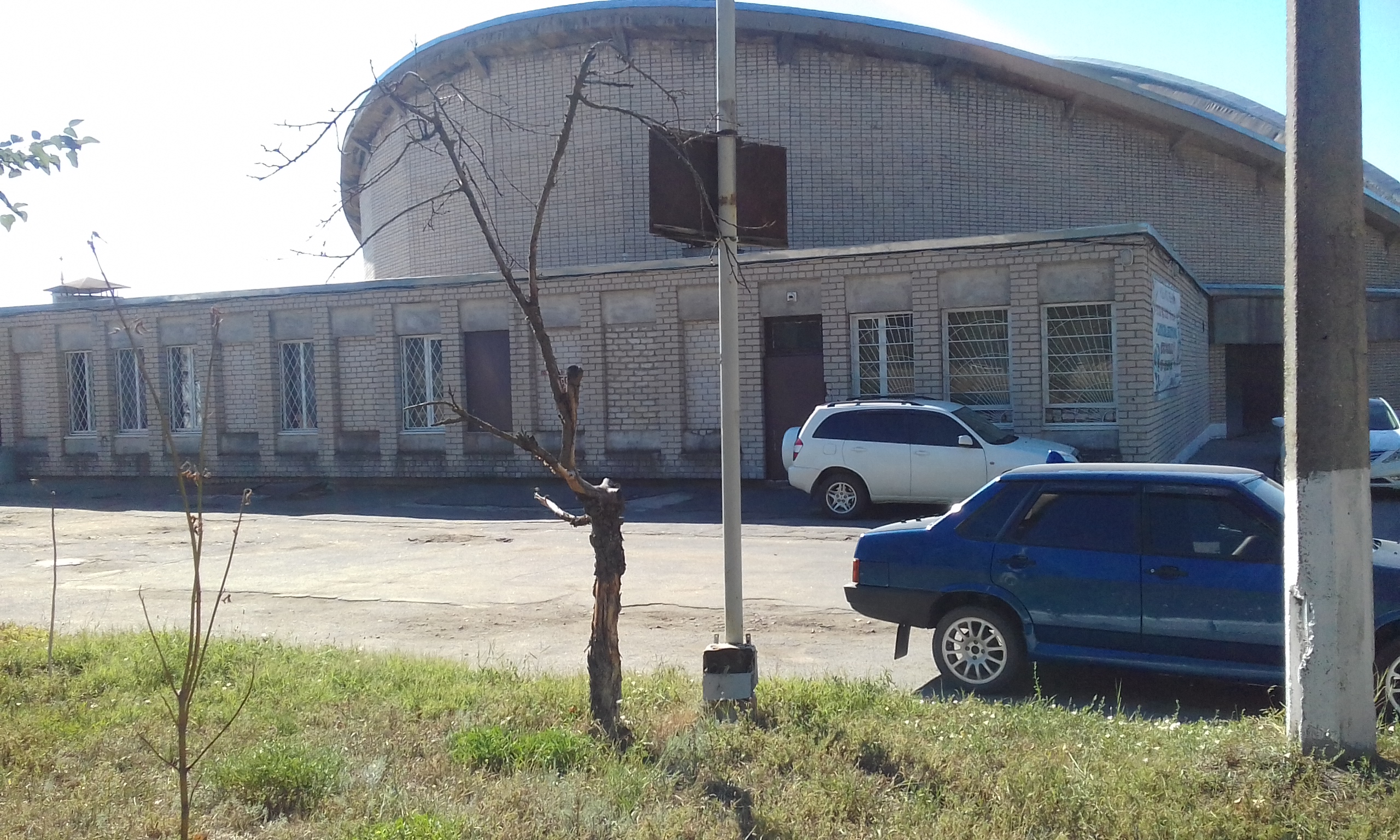 Памятник сухому дереву установлен в центре Херсона (фотофакт)