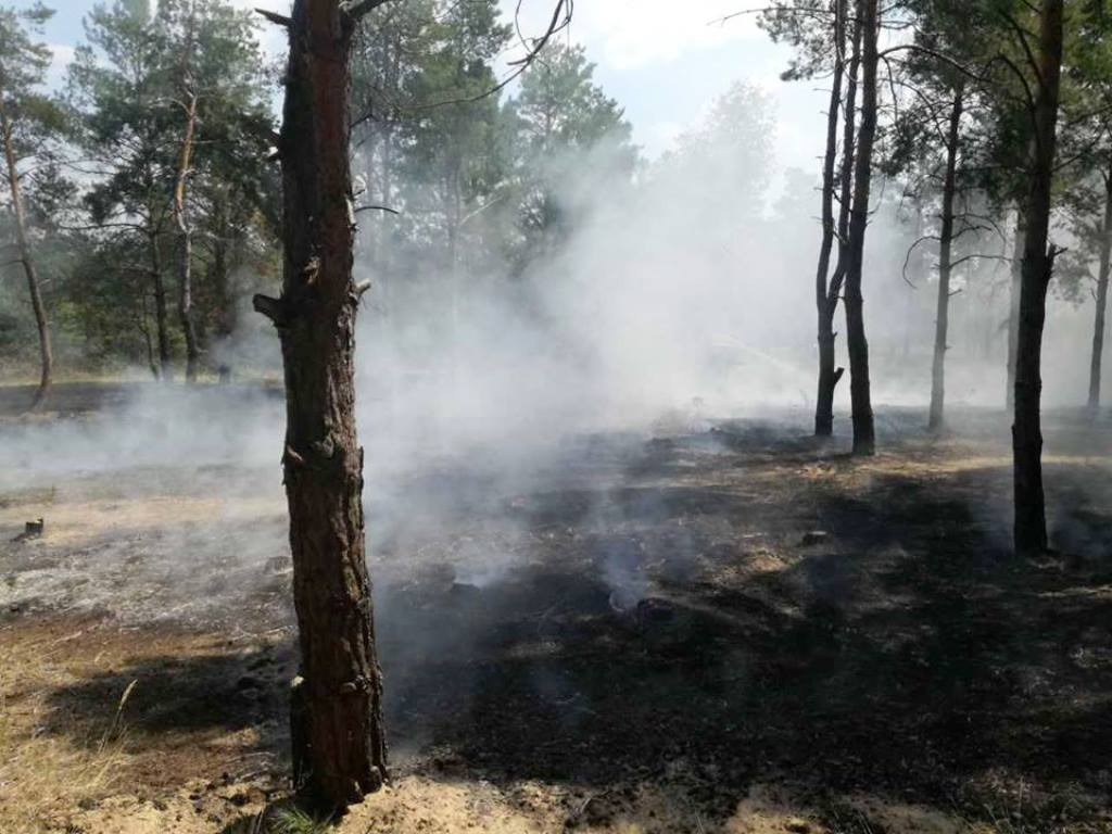 Ситуація з пожежами в лісах Херсонщини залишається складною