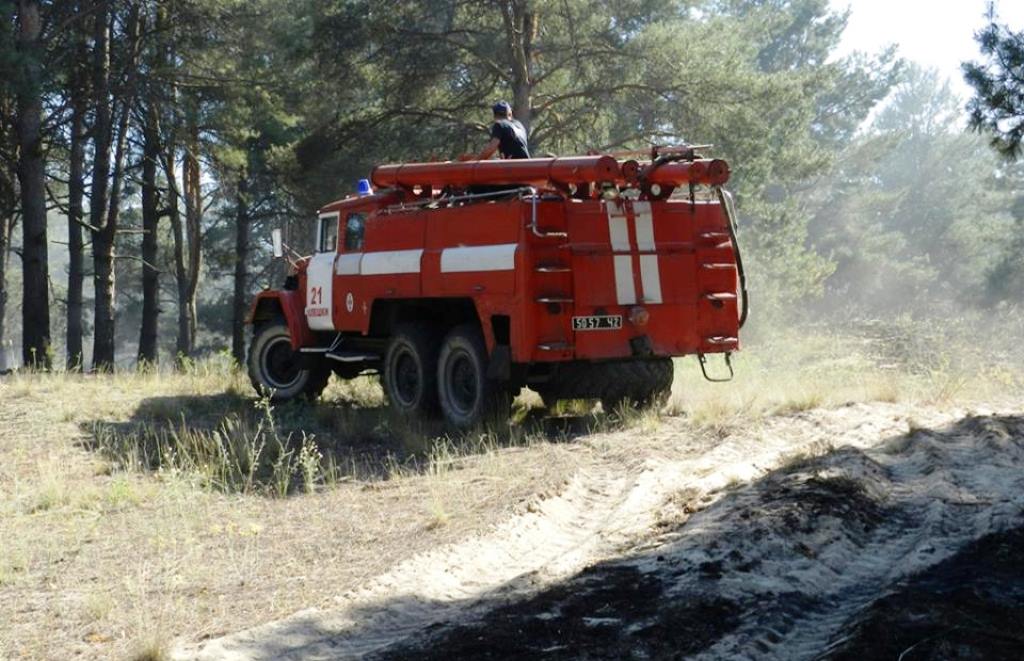 Херсонські пожежні виїхали в ліс. Та не на пікнік