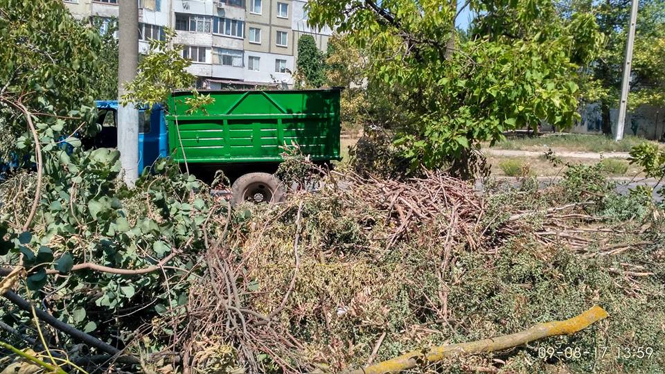 Херсонцам подсказали, куда жаловаться на тех, кто загрязняет город