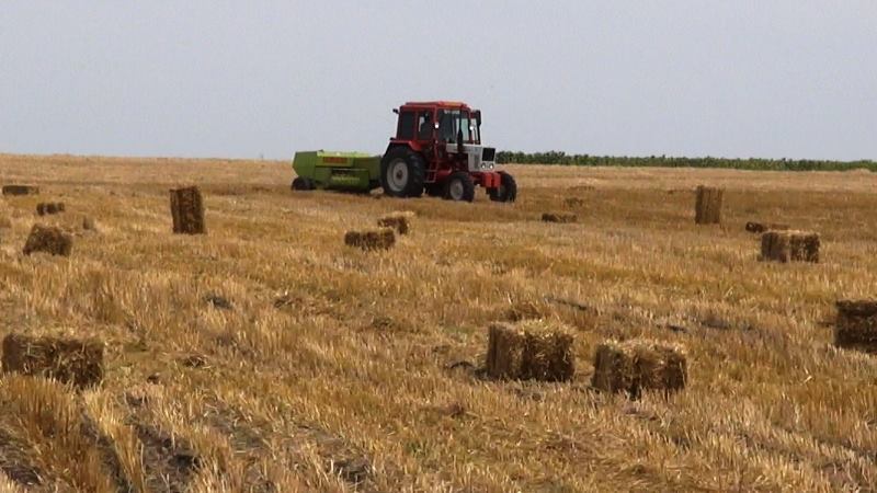 Паливода закликає віднестися по-хазяйськи до соломи з херсонських полів