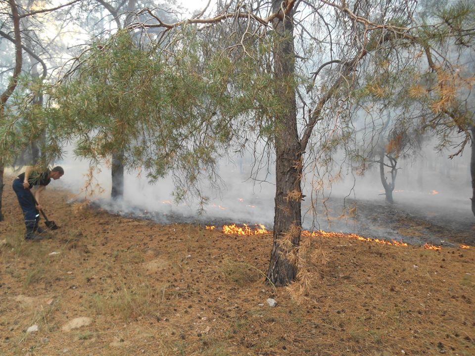 Різні причини пожежі в Раденську озвучуються на Херсонщині