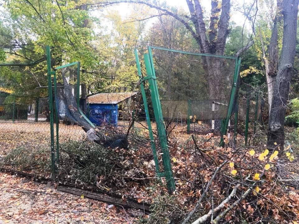 В центре Херсона уничтожили площадку для мини-футбола (фотофакт)