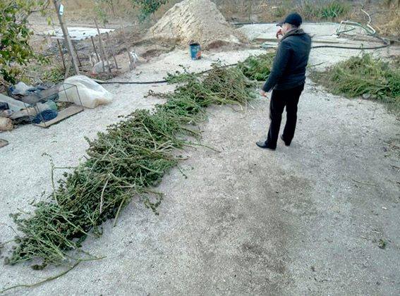 Поліція Херсонщини припинила мільйоний наркотичний бізнес двох білозерчан