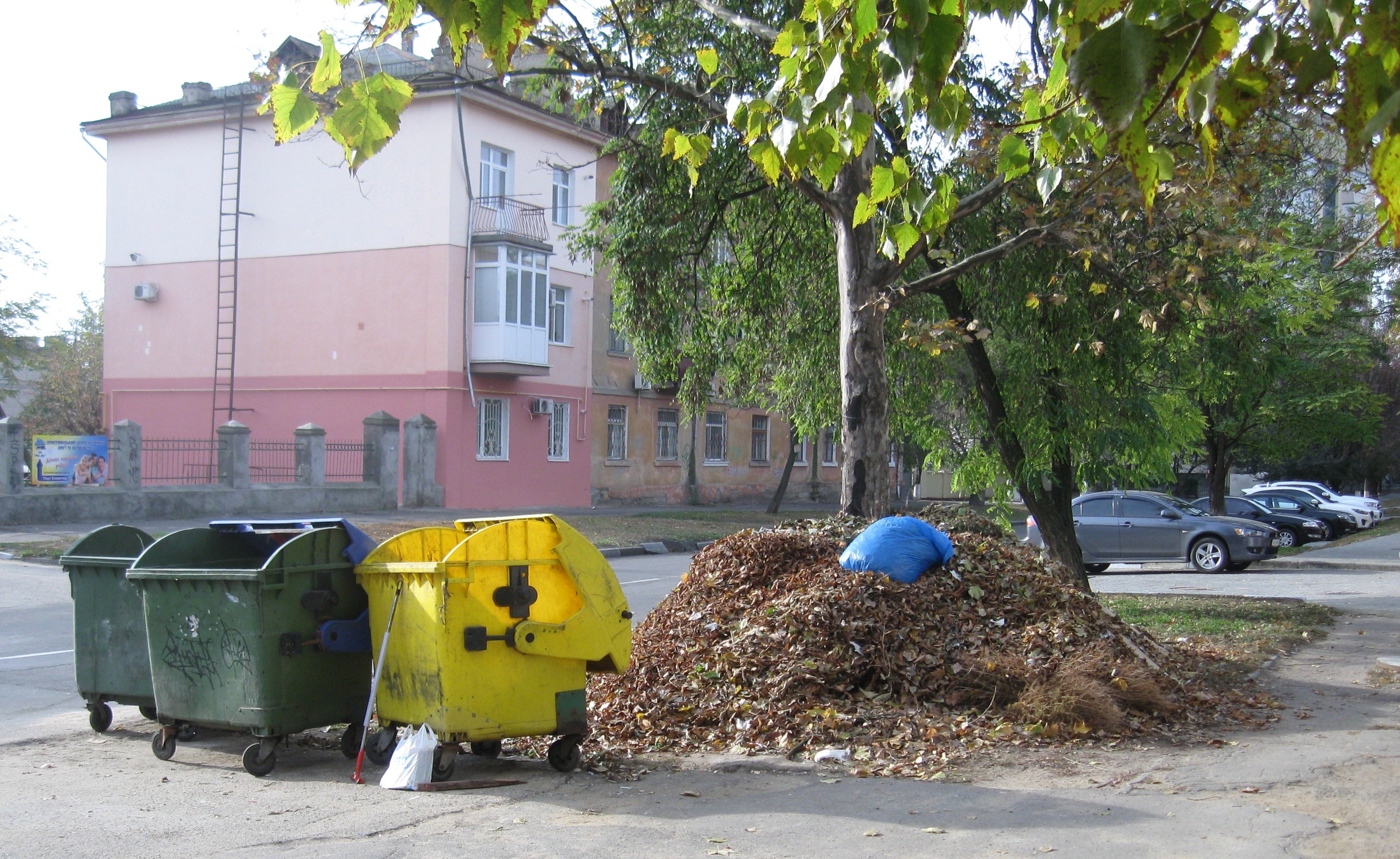 Листопад по-херсонски: жечь нельзя, а убирать некому (фотофакт)