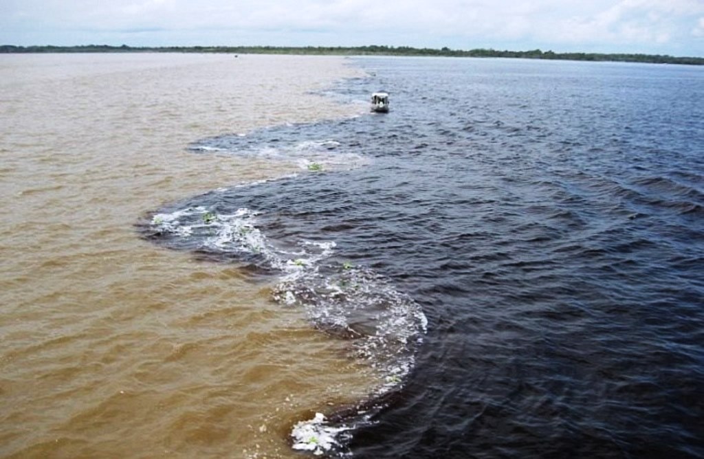 Днепр под Херсоном наполняется морской водой