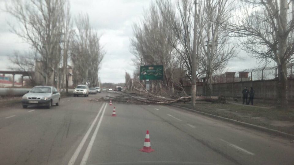 В Херсоне проезд по Бериславскому шоссе затруднен из-за упавшего дерева (фотофакт)