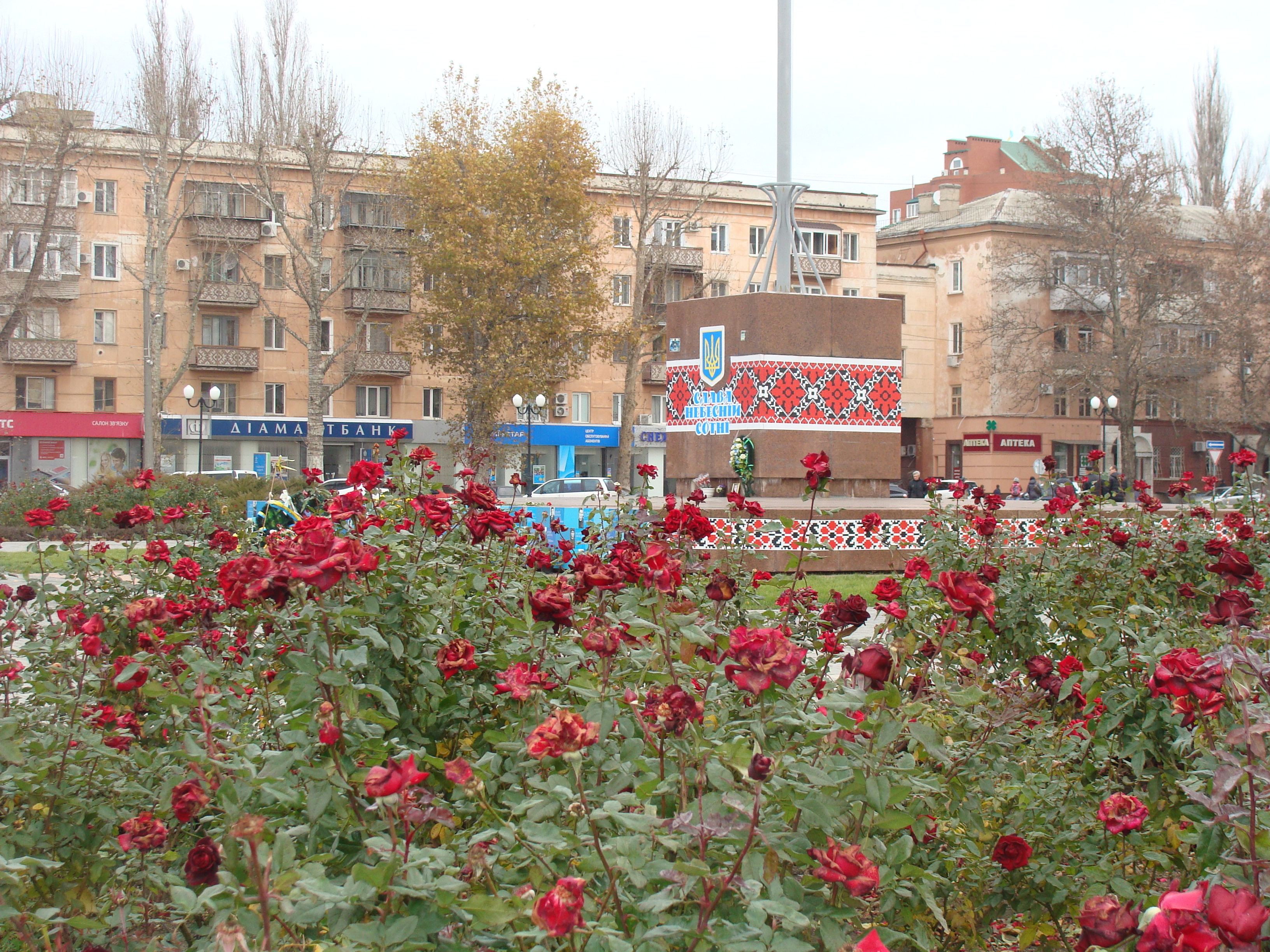 Наступного року троянди на площі Свободи у Херсоні можуть не зацвісти