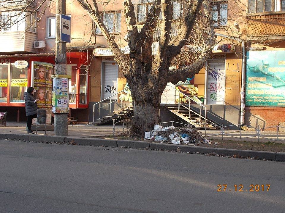 Інспекція з благоустрою працює оперативно й справно - перевірено херсонкою