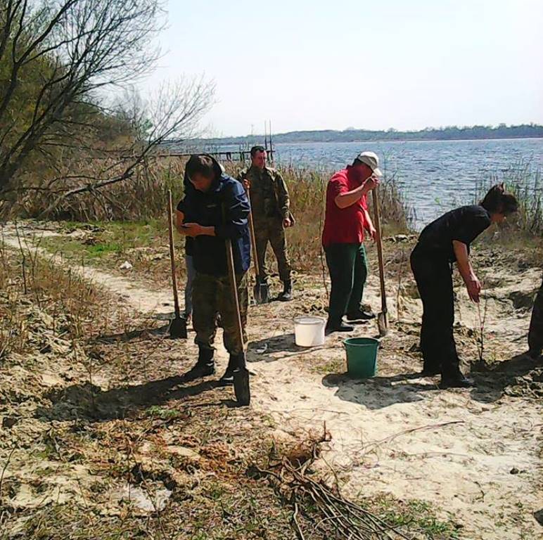 Активісти пропонують відновити лісопарк під Херсоном