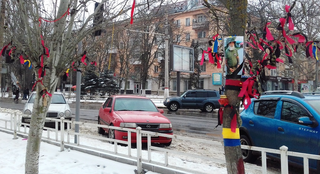 Данина пам'яті: у Херсоні розквітли зимові дерева (фотофакт)