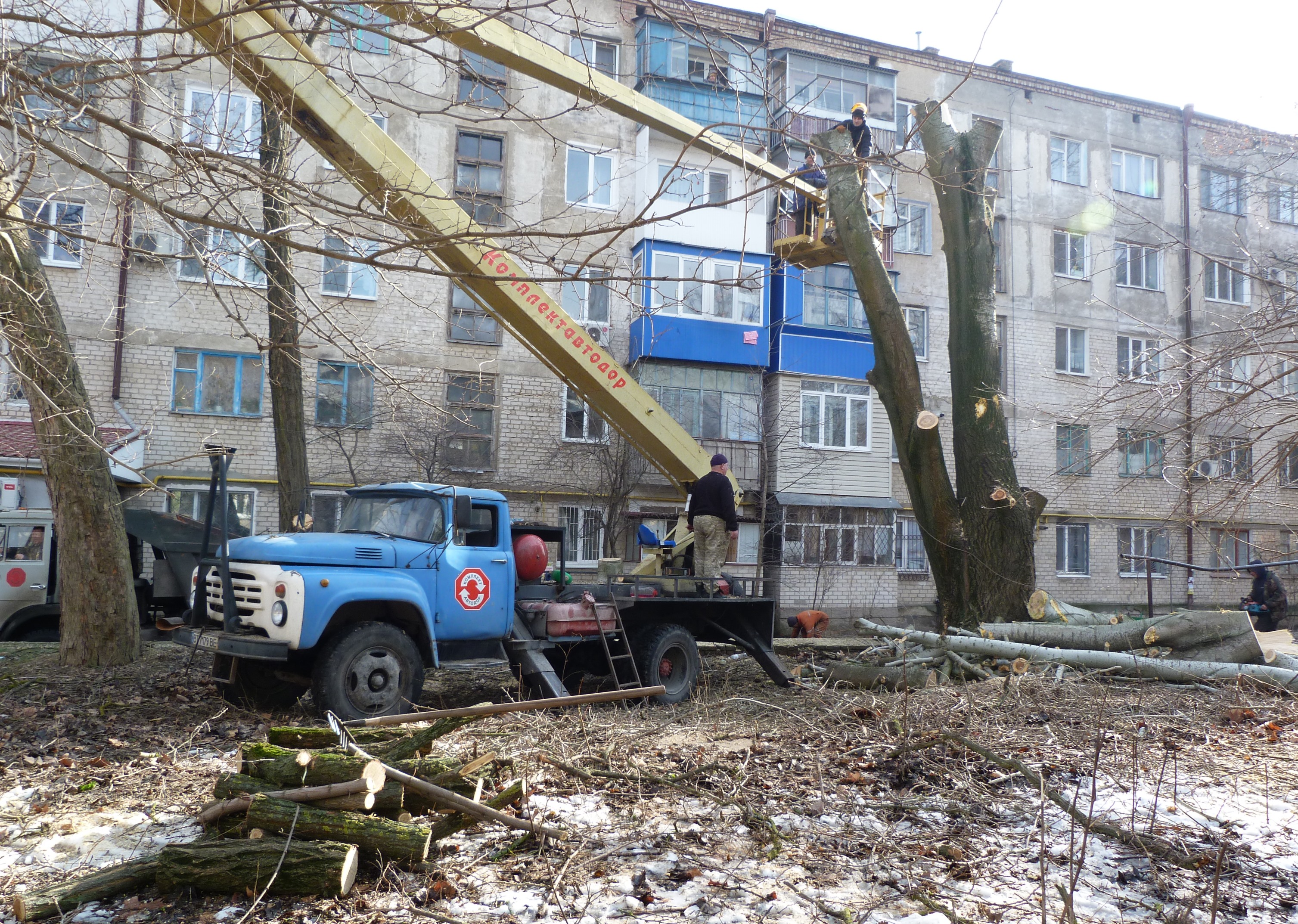 В Херсоне убирают аварийные деревья (фоторепортаж)