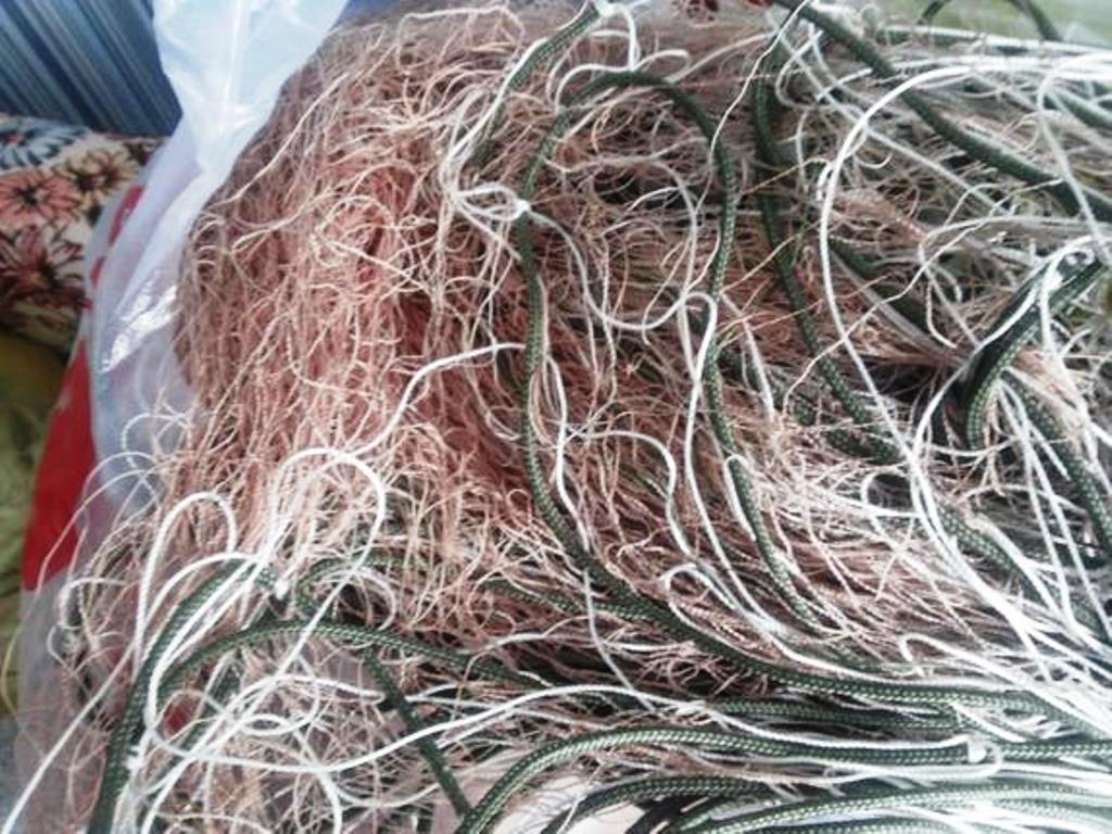 Что грозит продавцам браконьерских сетей в Геническе?