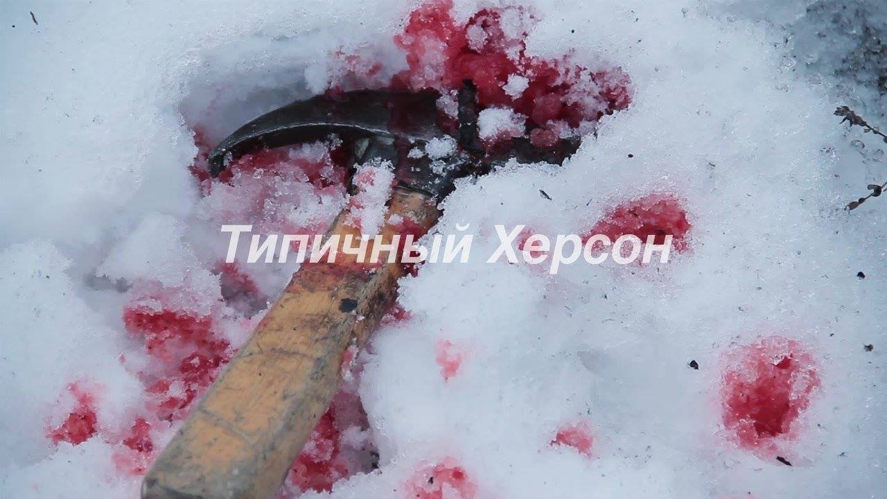 В Херсоне произошло кровавое ограбление