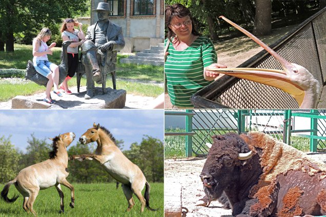 В заповеднике 