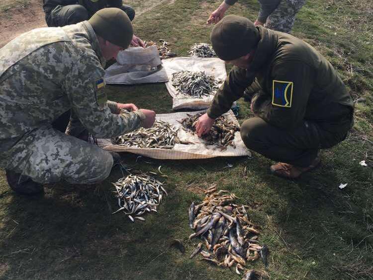 Херсонські прикордонники  допомогли захистити біоресурси