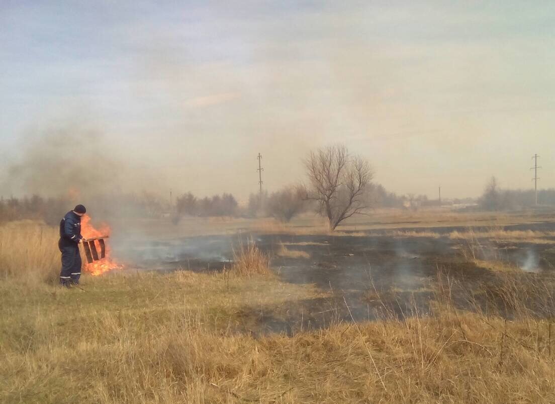 У Голій Пристані вогонь від палаючої сухої трави перекинувся на одне із подвір'їв