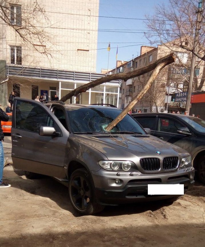 В Херсоне на авто упало дерево: фото