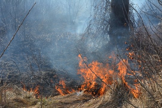 Херсонська область потерпає від пожеж