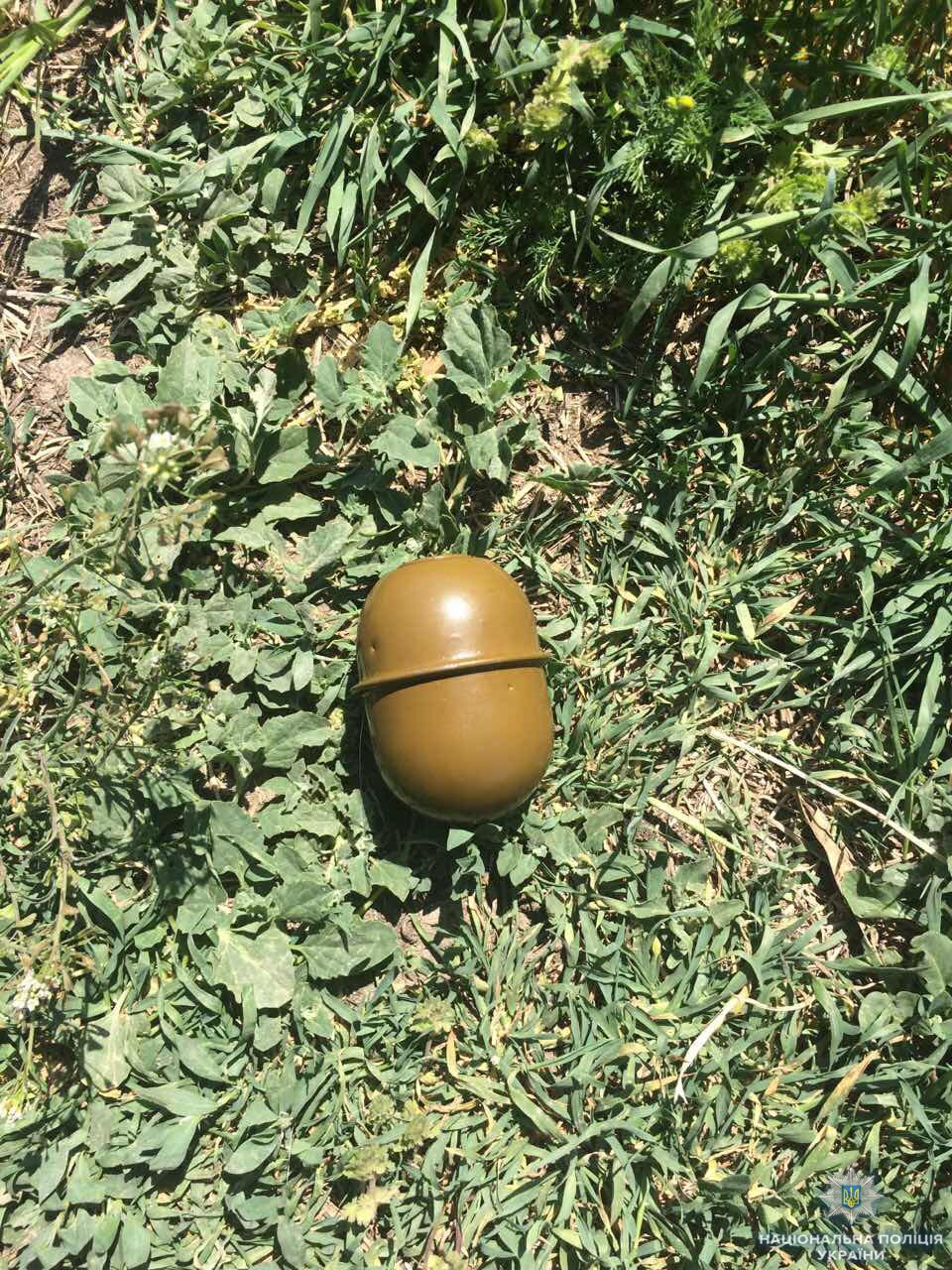 На Херсонщині рятувальники загасили пожежу паркану і парника