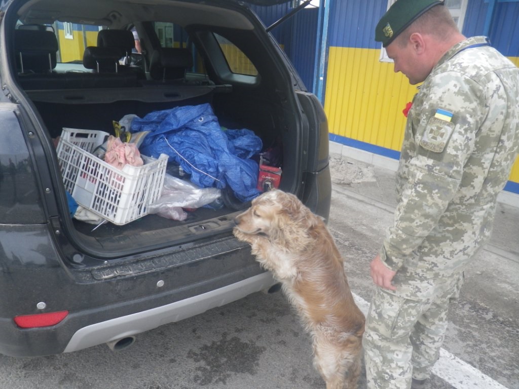 Що нанюхав собака на херсонському кордоні?