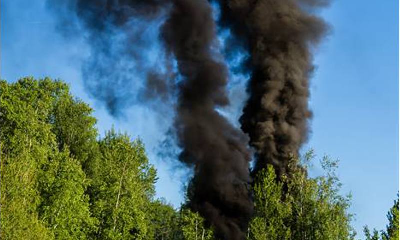 В Днепровском Белозерского района сухие деревья не пилят, а жгут - задымили весь поселок