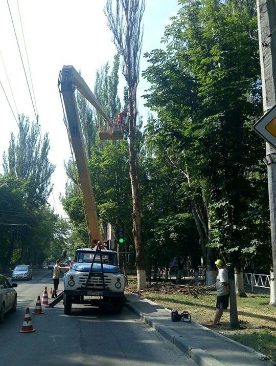 Водители, внимание - на главном проспекте Херсона обрезают аварийные деревья