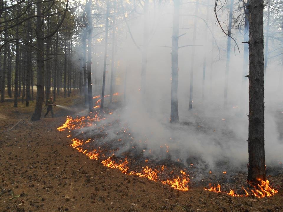 На Херсонщині за добу 13 разів горіла суха трава, сміття і очерет