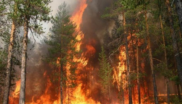 Голова Олешківської РДА: Щоб скликати сесію районної ради, певно, має згоріти весь район