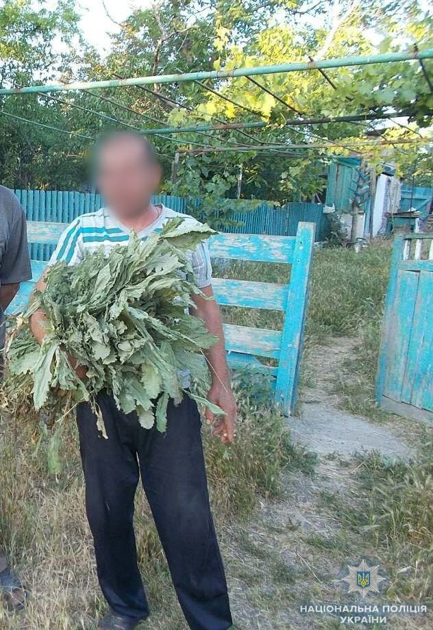 Поліцейські вилучили опійний мак у жителів Великолепетиського та Скадовського районів